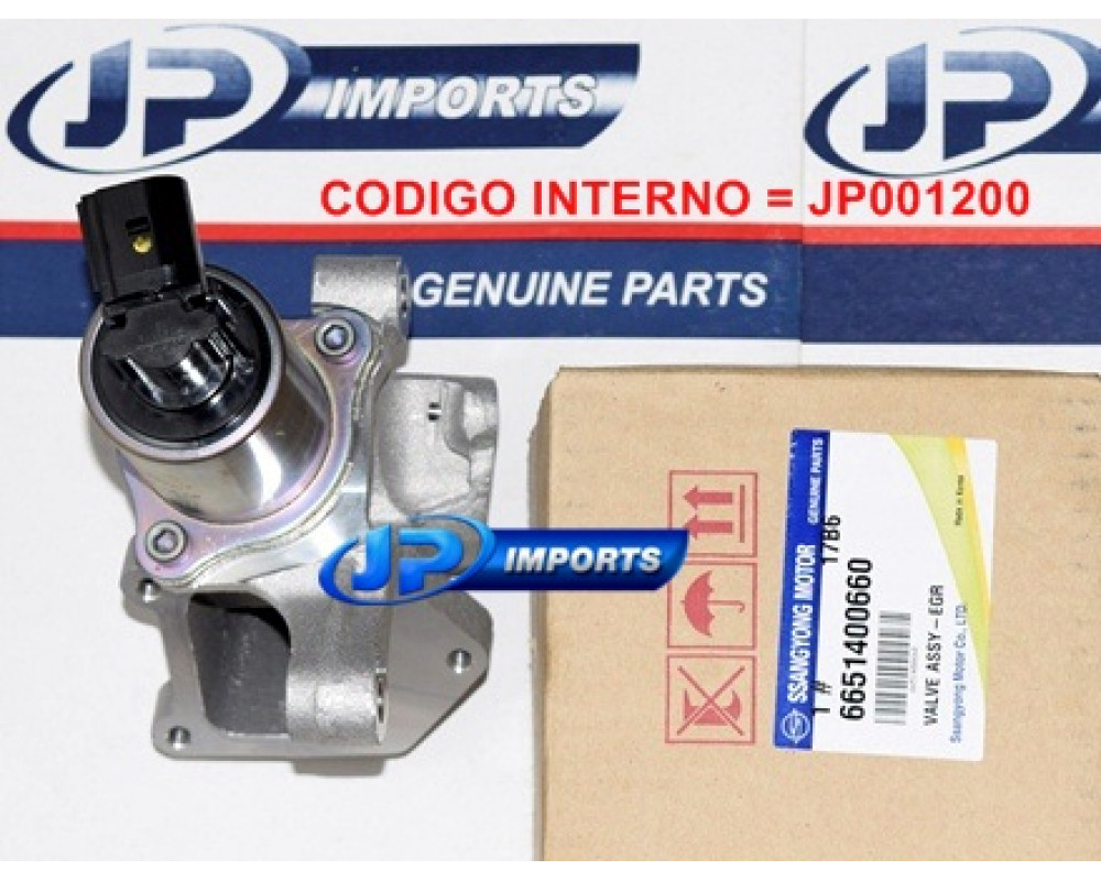 Ssangyong egr remover